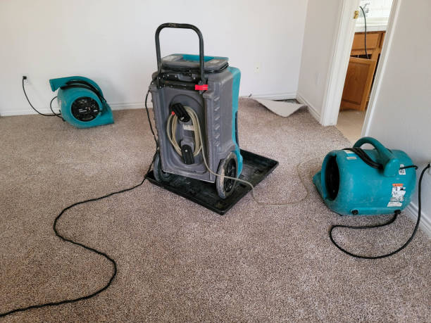 Best Fire Damage Restoration  in March Ar, CA