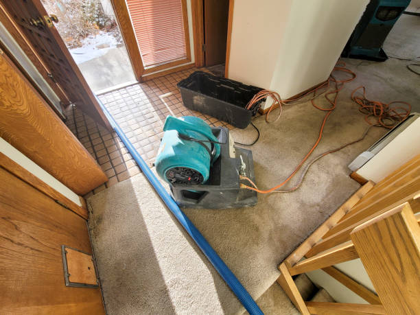 Best Carpet water damage restoration  in March Ar, CA