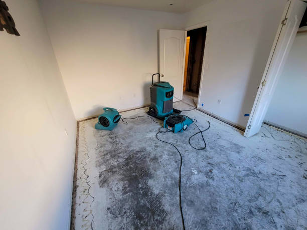 Best Water damage cleanup near me  in March Ar, CA