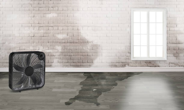 Best Emergency water damage restoration  in March Ar, CA