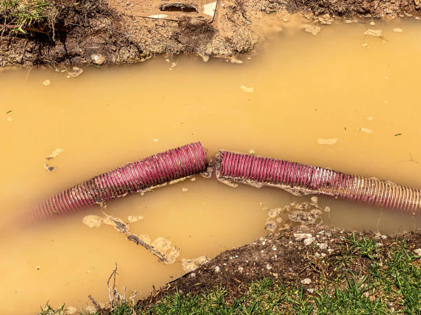 Best Flood damage cleanup  in March Ar, CA